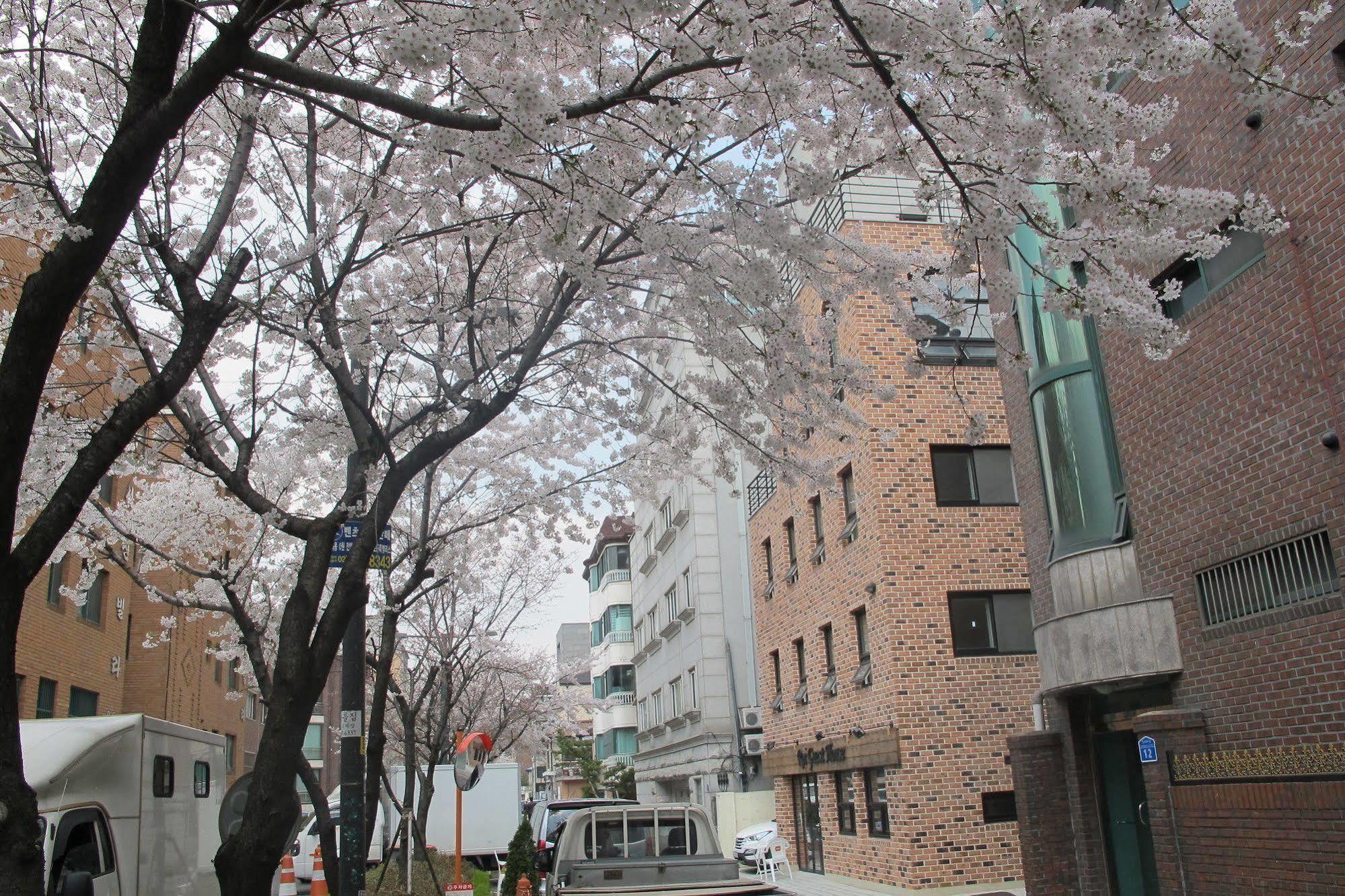 Roi House Otel Seul Dış mekan fotoğraf